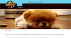 Desktop Screenshot of evcilimpet.com.tr